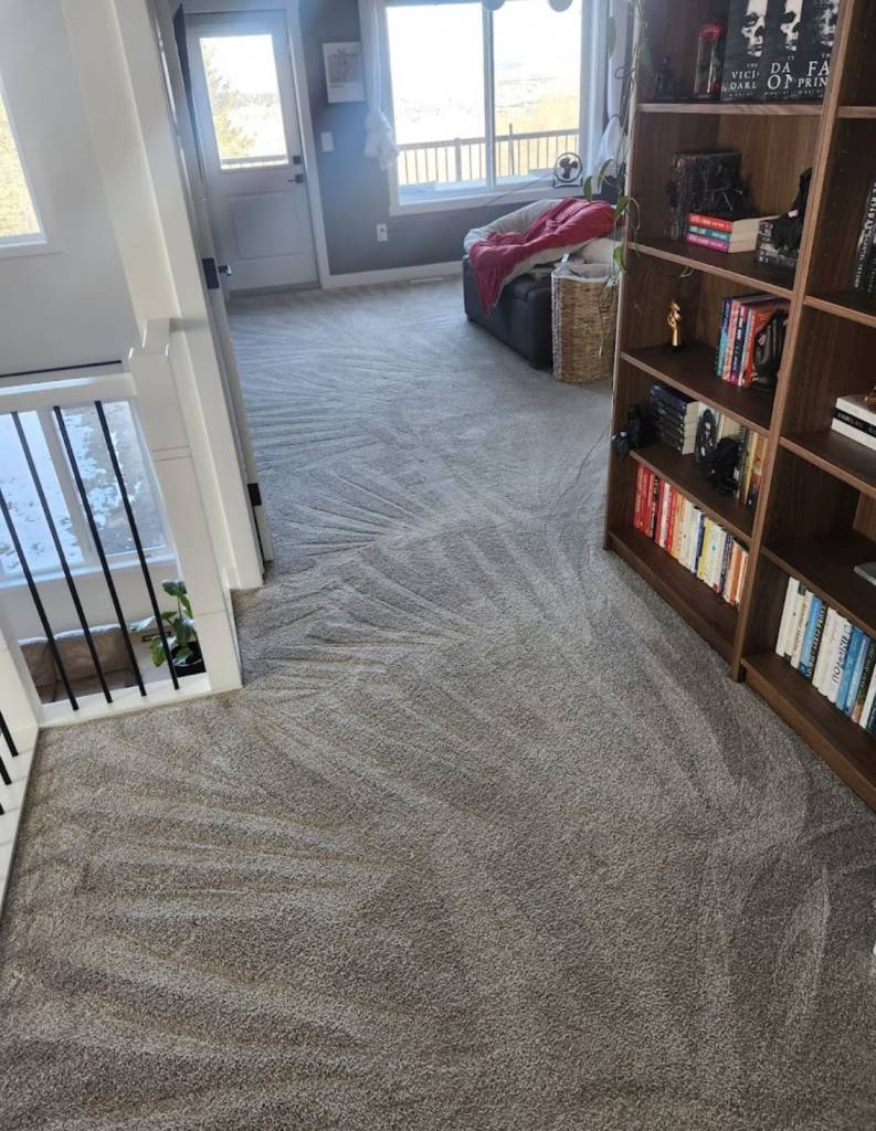 Freshly steam-cleaned carpet in cozy home library with bookshelves